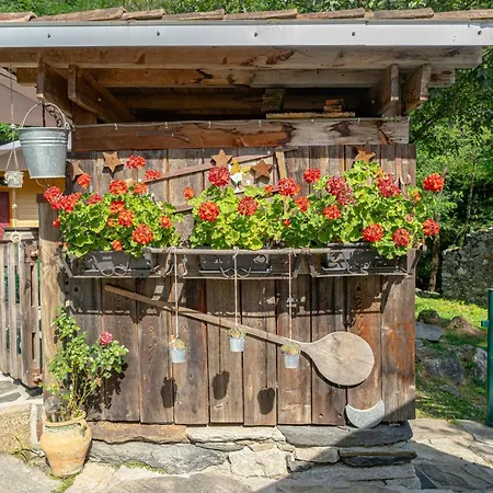 Apartment Nel A Samolaco - Terrazzo