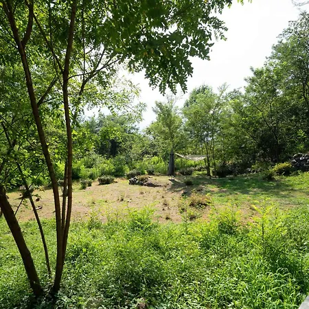 Nel A Samolaco - Terrazzo Apartmán *